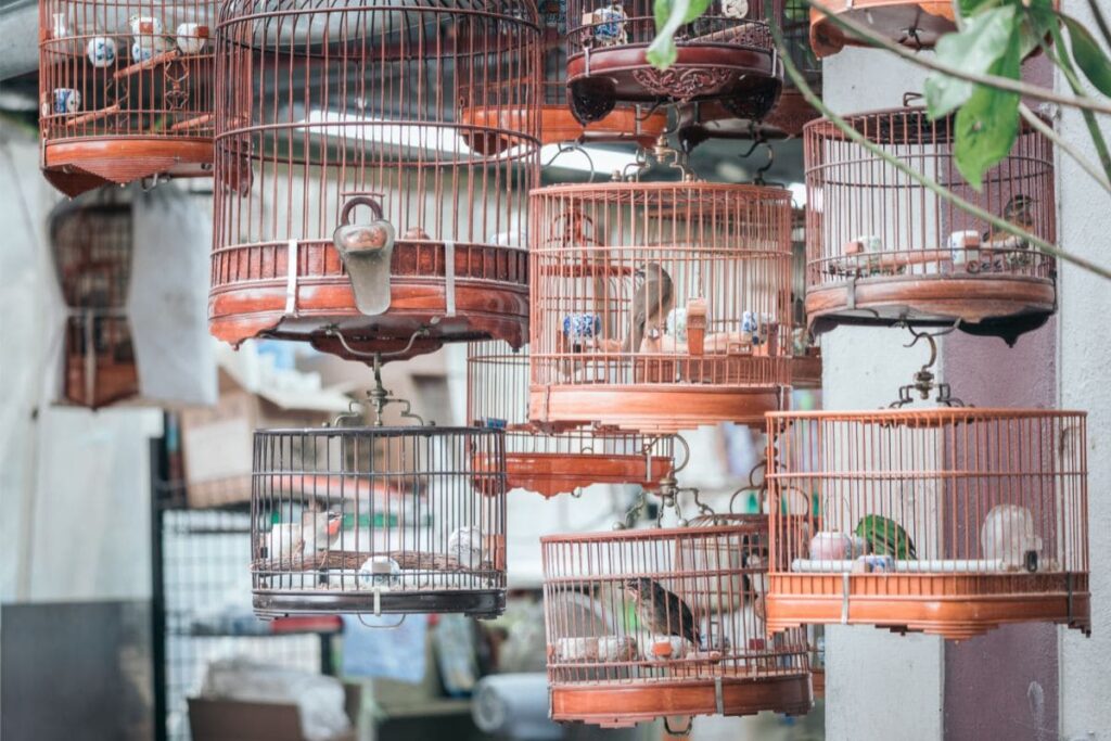Mercado de Pássaros de Yuen Po